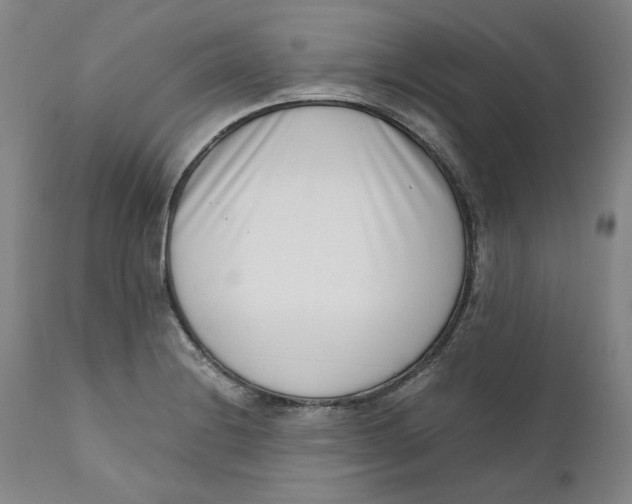 X0000111661228200908071425