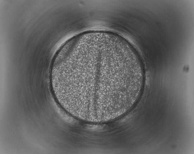 X0000111661229200908071425