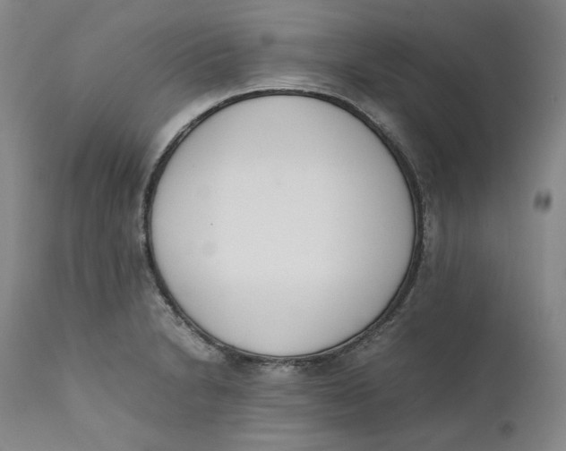 X0000111661230200908071425