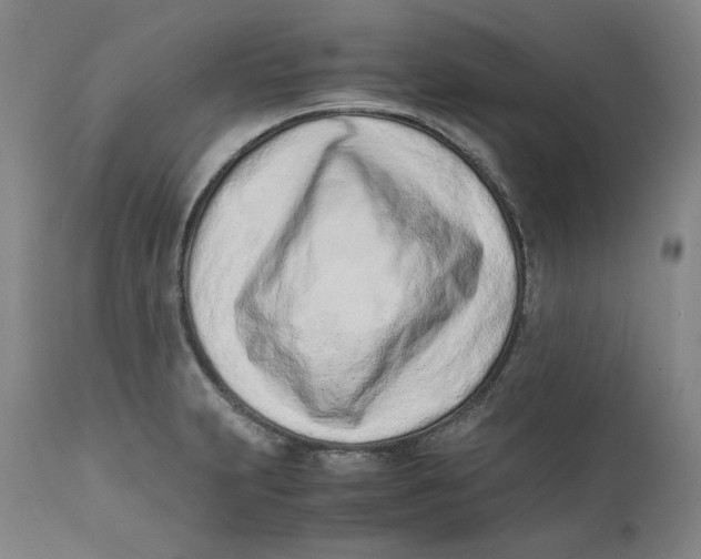 X0000111661231200908071425