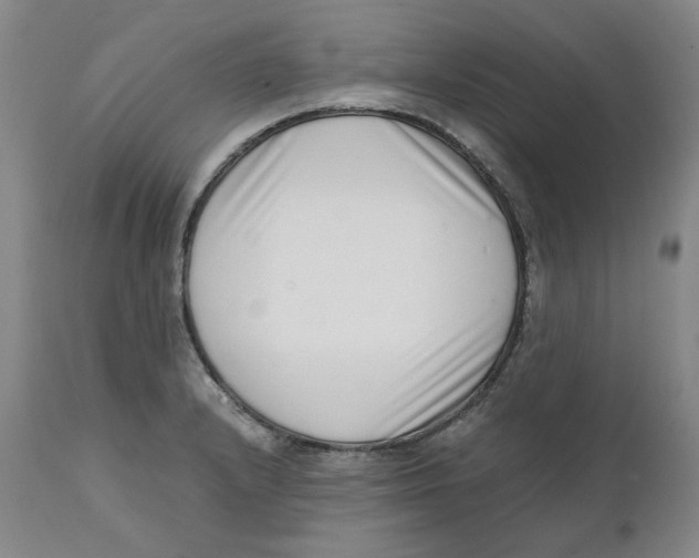 X0000111661232200908071425