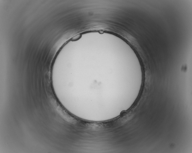 X0000111661234200908071425