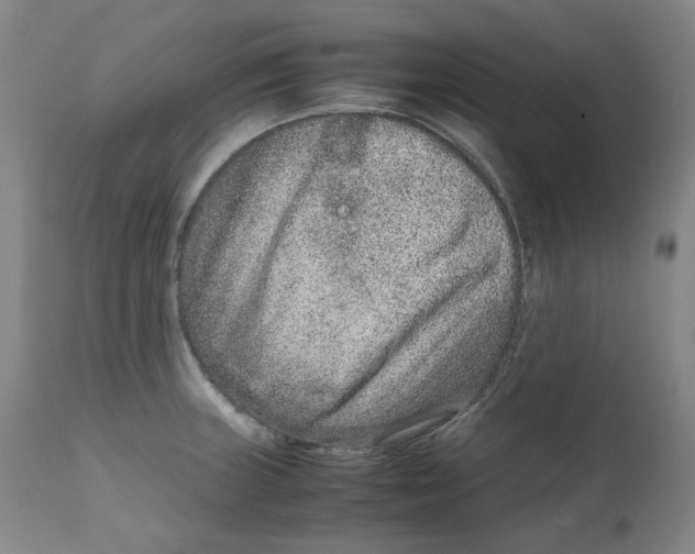 X0000111661235200908071425