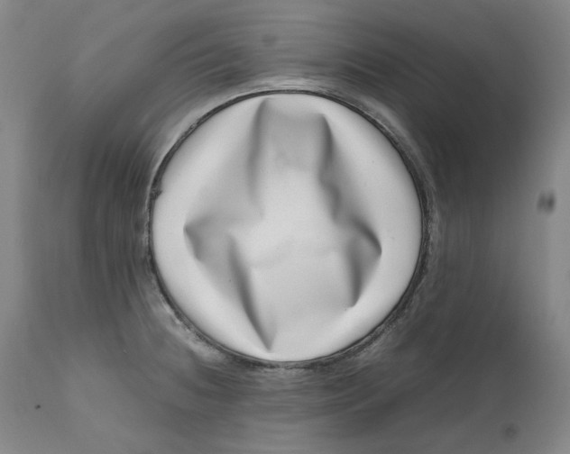 X0000111661236200908071425