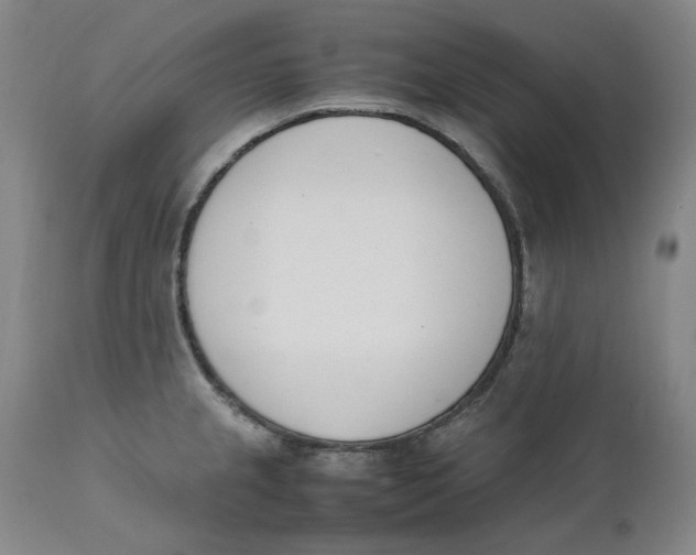 X0000111661237200908071425