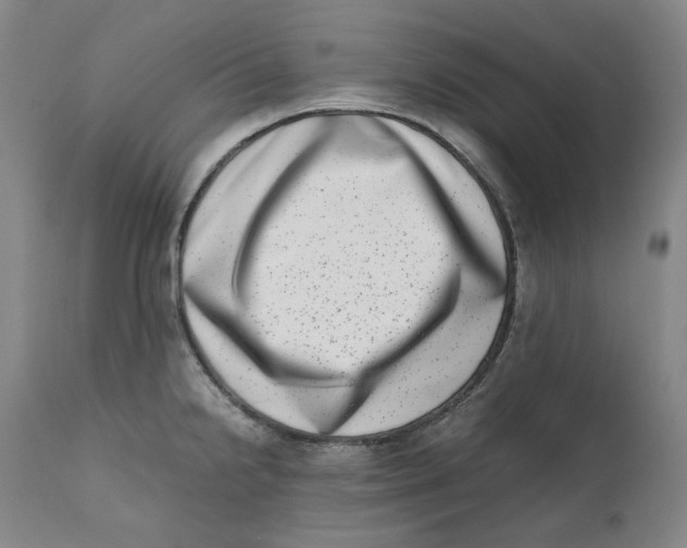 X0000111661238200908071425