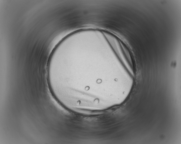 X0000111661239200908071425