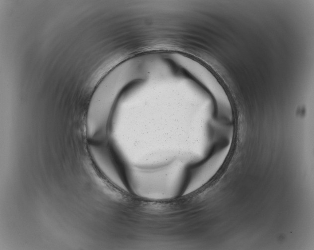 X0000111661241200908071425