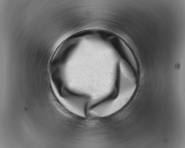 X0000111661242200908071425