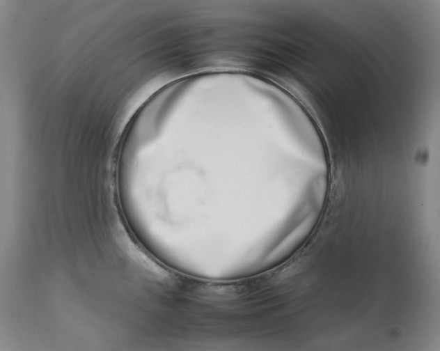 X0000111661243200908071425