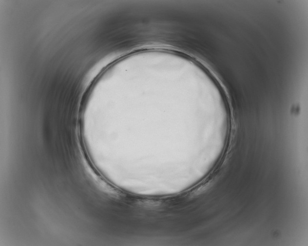 X0000111661245200908071425