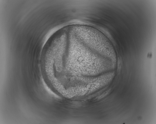 X0000111661247200908071426