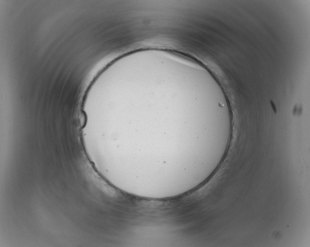 X0000111661248200908071426