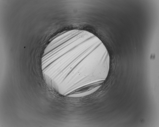 X0000111661249200908071425