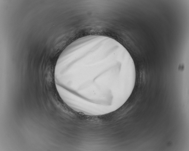 X0000111661250200908071425