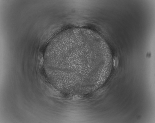 X0000111661251200908071425