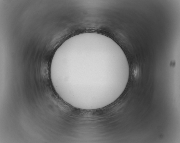 X0000111661252200908071425