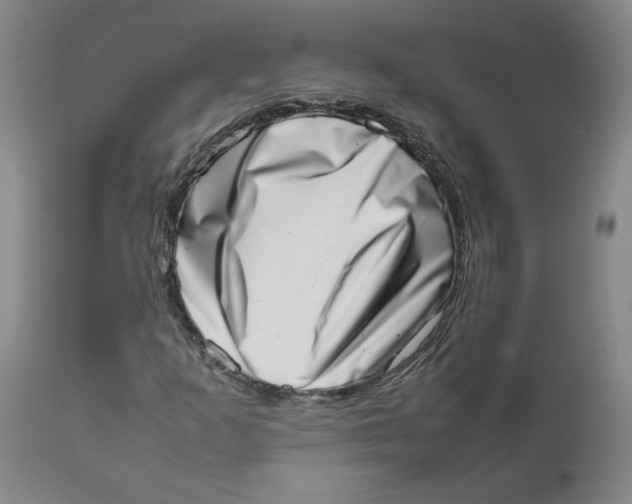 X0000111661253200908071425