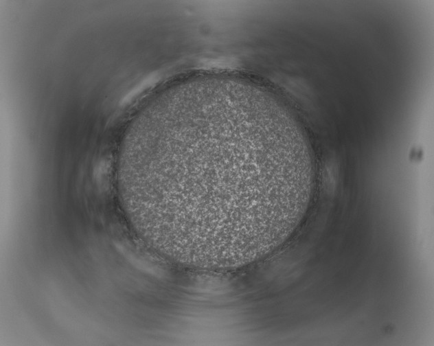 X0000111661254200908071425