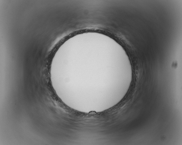 X0000111661256200908071425