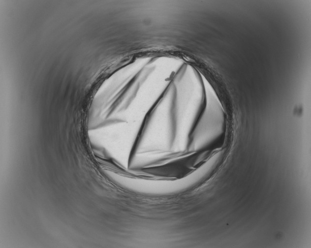 X0000111661257200908071425