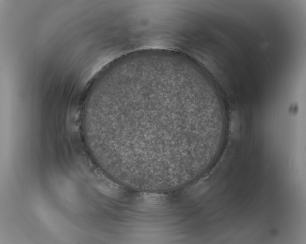 X0000111661258200908071425