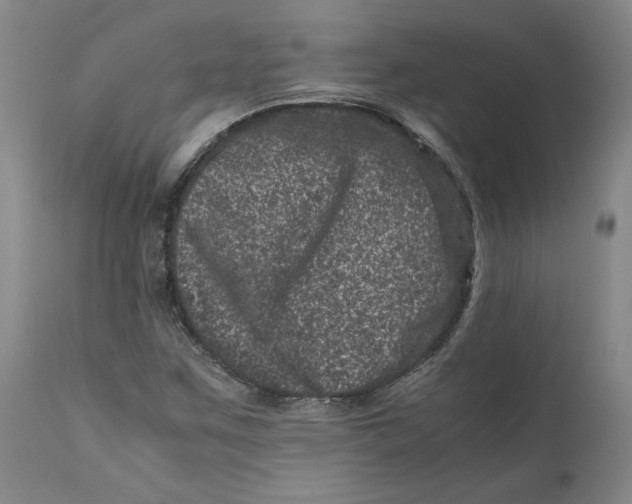 X0000111661259200908071425