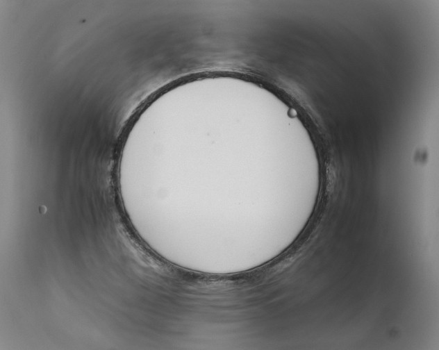 X0000111661260200908071425