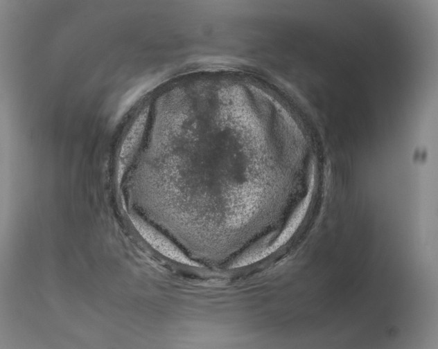 X0000111661261200908071425