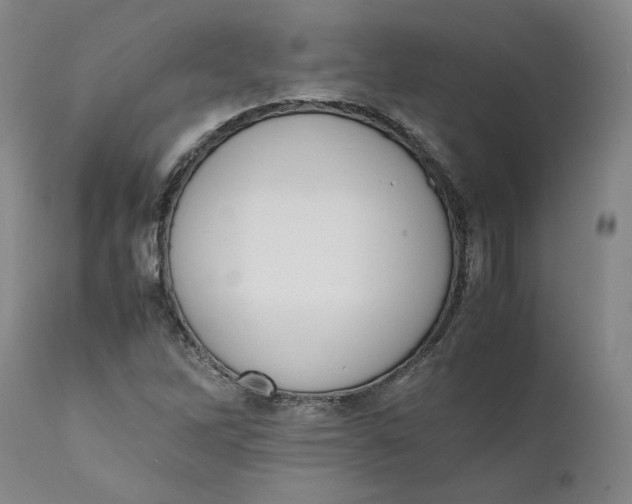 X0000111661262200908071425