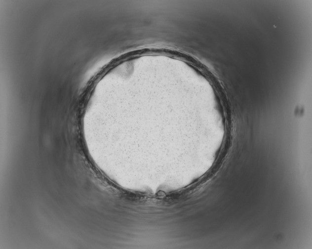 X0000111661263200908071425