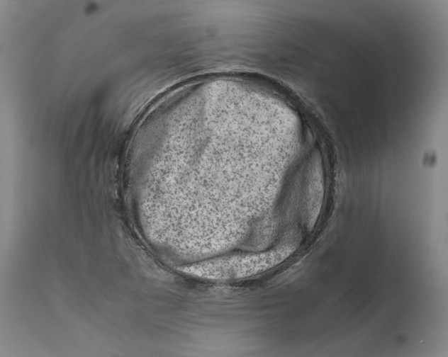 X0000111661265200908071424