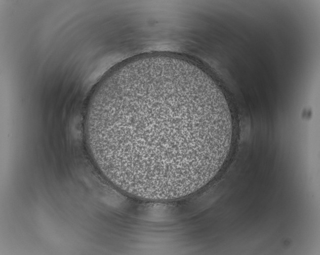 X0000111661266200908071424