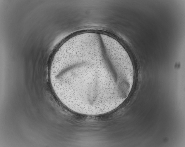 X0000111661267200908071424