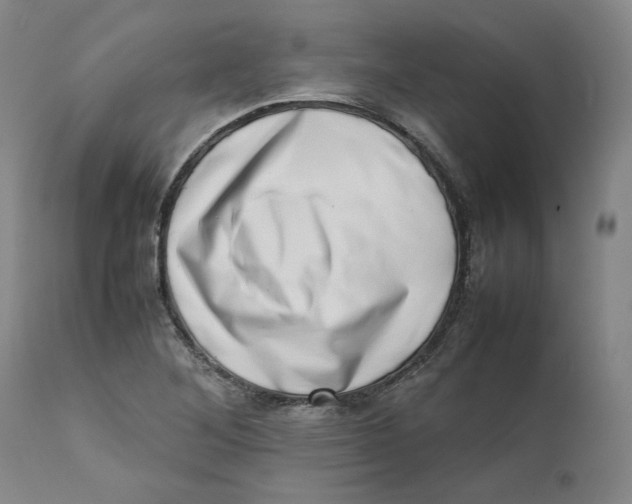 X0000111661268200908071424