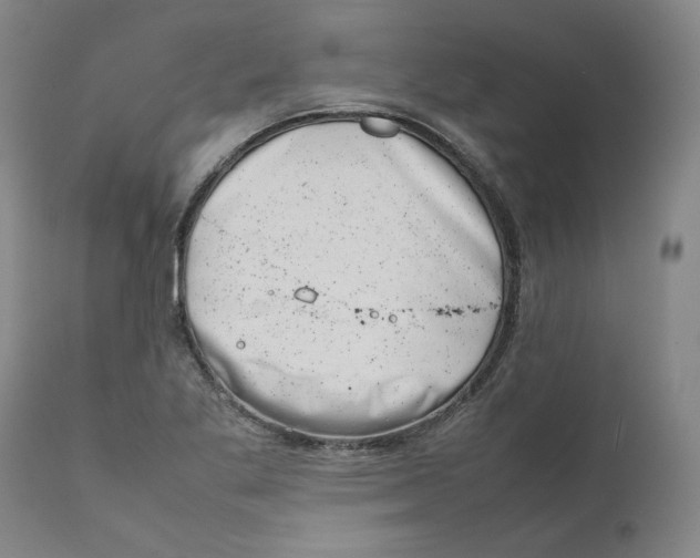 X0000111661269200908071424