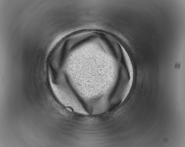 X0000111661270200908071424