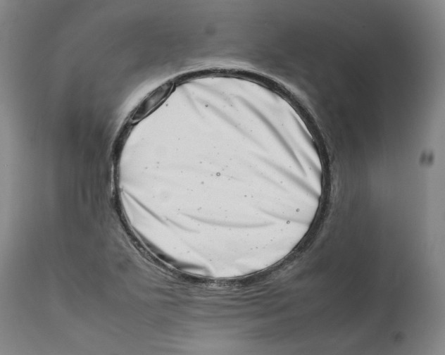 X0000111661271200908071424