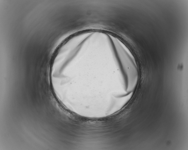 X0000111661272200908071424