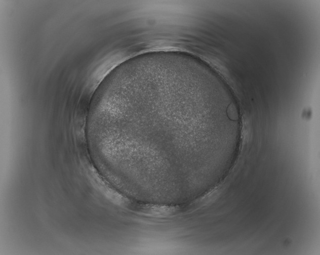 X0000111661273200908071424