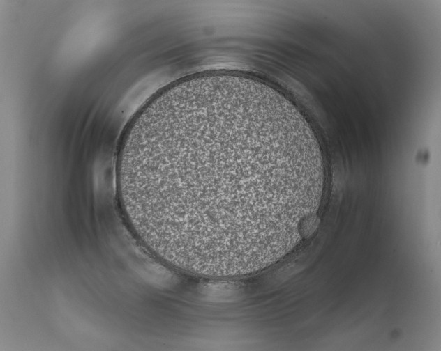 X0000111661274200908071424