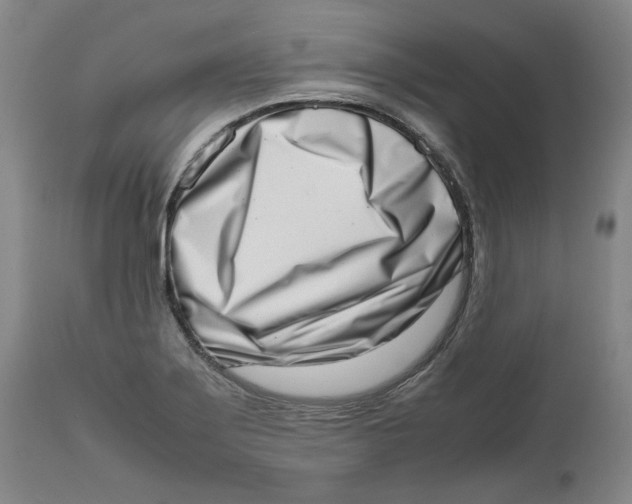 X0000111661275200908071424