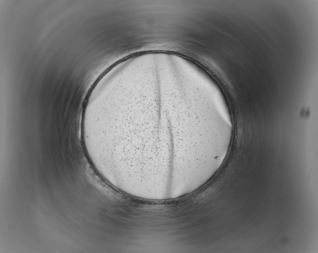 X0000111661276200908071424