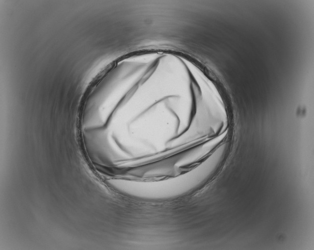 X0000111661277200908071424