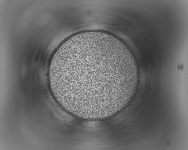 X0000111661278200908071424