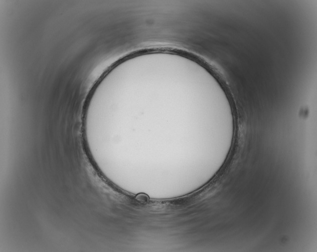 X0000111661279200908071424