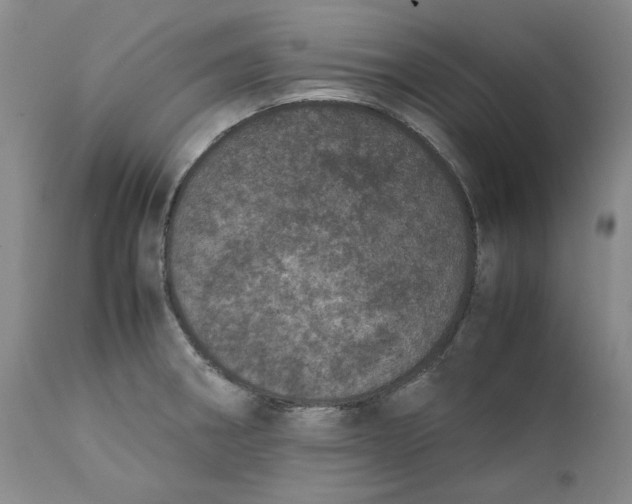 X0000111661282200908071424