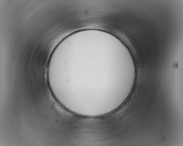 X0000111661284200908071424