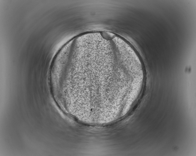 X0000111661285200908071424