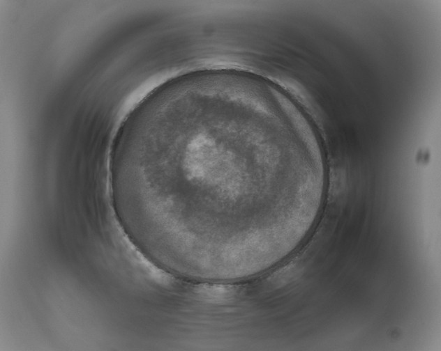 X0000111661286200908071424